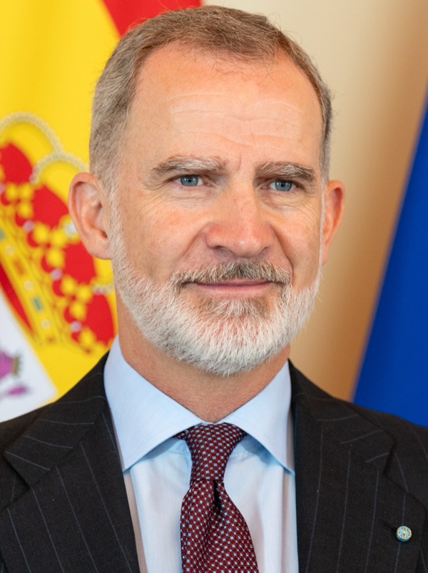Portrait of King Felipe VI